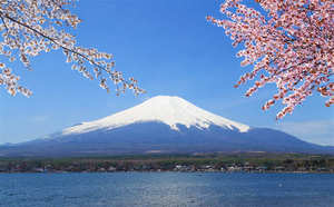 Immagine di sfondo della presentazione del monte Fuji Sakura
