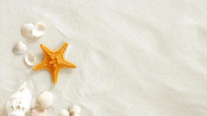 Imagem de fundo da apresentação de slides de concha de estrela do mar de praia