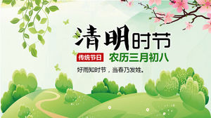 Qingming Festiwal Wiosna Kwiaty Szablon PPT