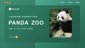 Șablon ppt cu temă panda zoologică simplu și proaspăt