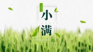 Xiaoman - шаблон п.п. с двадцатью четырьмя солнечными терминами