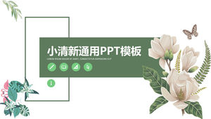 植物花卉藤葉小清新幾何風作品總結報告通用ppt模板