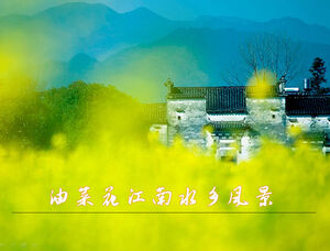 Plantilla ppt de paisaje de ciudad de agua de Jiangnan de flor de violación