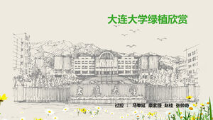 Presentazione della pianta verde dell'Università di Dalian e modello ppt di apprezzamento della bellezza