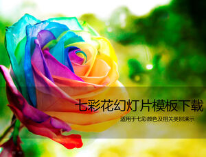 Trandafir colorat frumos șablon ppt