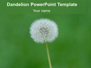 Dandelion elegant green background ppt template