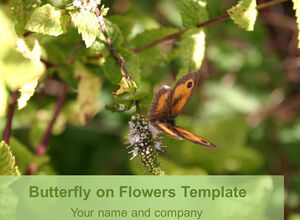 Motyl zbieranie kwiaty natura szablon ppt
