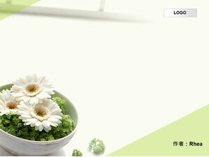 Template latar belakang hijau Jingyi yang elegan