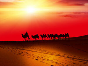 Modelo de ppt de equipe de camelo do deserto