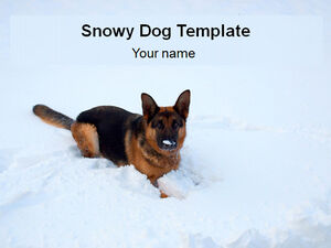 หมาป่าสุนัขในเทมเพลต ppt หิมะ