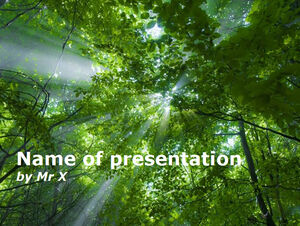 The sun shines through the dense forest natural beauty ppt template