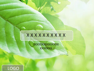 Green leaf dewdrop background refreshing natural ppt template