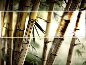 Bambusowa zabawa - szablon naturalnego krajobrazu