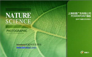 The pattern of life - green ppt template