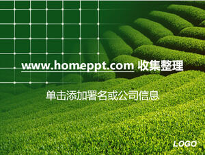 Green tea mountain natural scenery ppt template