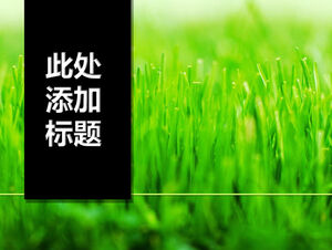 Black vertical title sprouts green grass ppt template