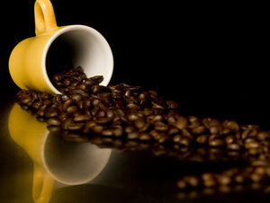 Modèle ppt de grains de café