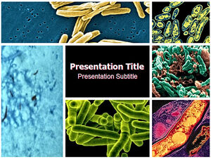 Bakteri tuberkulosis - template ppt industri medis