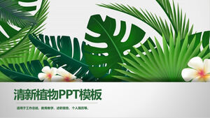 清新醒目的綠色植物PPT模板