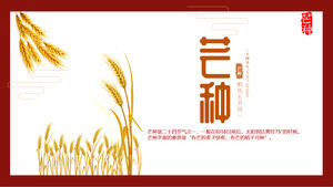 Золотые колосья пшеницы фон из семян ости солнечный термин введение шаблон PPT
