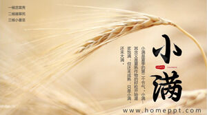 Sfondo del campo di grano dorato Modello PPT di introduzione del termine solare Xiaoman