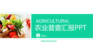 Descarga gratuita de la plantilla PPT de productos agrícolas vegetales verdes