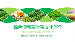 Зеленый чайный сад фон чайная культура шаблон PPT