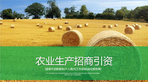 Agricultural harvest PPT template