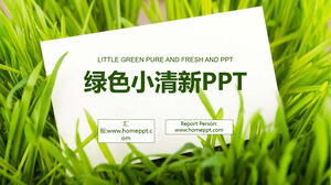 Template PPT dari rencana kerja segar dengan rumput hijau dan latar belakang kartu putih