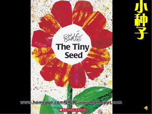 Little Seed picture book story PPT