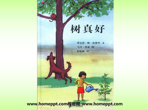 Povestea din cartea ilustrată PPT din „Copacii sunt cu adevărat buni”