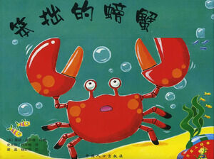 Histoire de livre d'images pour enfants: crabe maladroit PPT