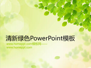 Modello di diapositiva di protezione ambientale con sfondo di foglie verdi fresche