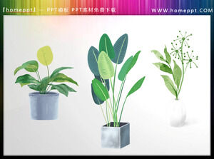 Üç adet yeşil suluboya saksı bitkileri PPT malzemeleri