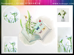 Taze yeşil bitki kitaplarının Kelebekler PPT çizimleri