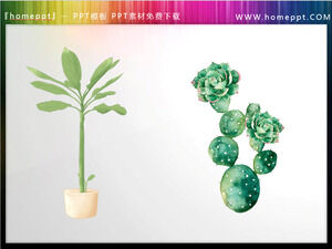 Yeşil Suluboya Bonsai ve Kaktüs PPT Malzemeleri