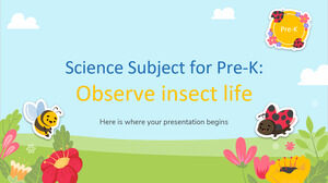 Materia de Ciencias para Pre-K: Observar la vida de los insectos