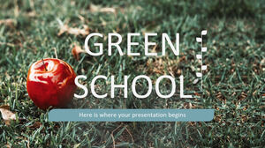 Зеленая школа
