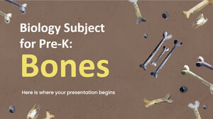 Biologiefach für Pre-K: Knochen