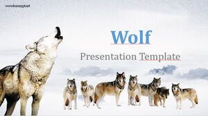 волк-презентация-Powerpoint-шаблоны