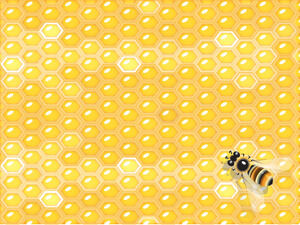 Modelos de powerpoint de favo de mel e abelha