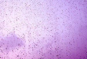 紫色の花の雨滴 パワーポイント テンプレート