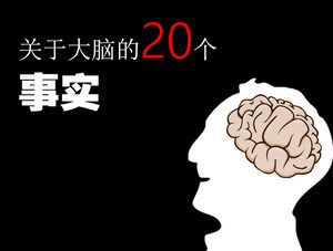20 ข้อเท็จจริงเกี่ยวกับสมอง - เข้าใจแม่แบบ PPT สำหรับการฝึกอบรมในสถานที่ทำงานของสมอง