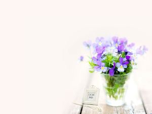 유리 항아리에 삽입 꽃의 꽃다발