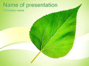 Uma folha verde - modelo de ppt classe ambiental
