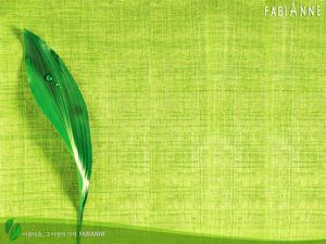 Sebuah daun hijau gambar latar belakang kain hijau