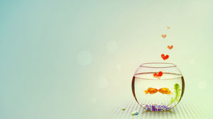 A pair of cute little goldfish rubbing out of love sparks ppt picture