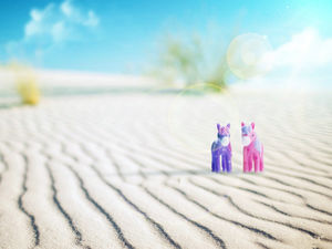 Пара прекрасных пони кукол в пустыне РРТ фоновое изображение