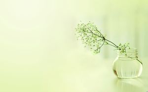 Un piccolo fiore in una bottiglia di vetro - diapositive verdi tranquille ed eleganti di sfondo
