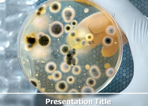 Bakteryjne analiza testu - Biomedical Research ppt szablon